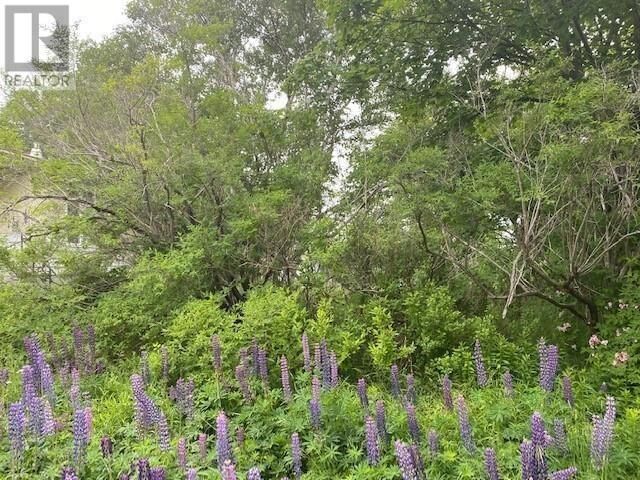 Property Photo:  28-30 Foxtrap Access Road  NL A1X 7N3 