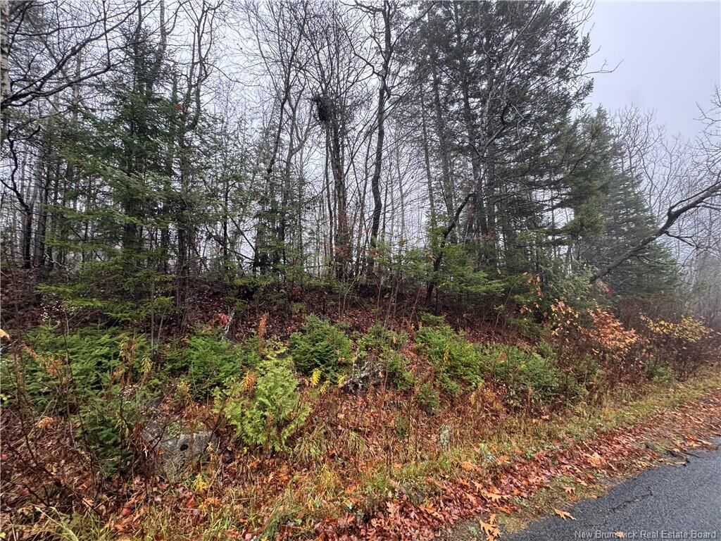 Property Photo:  25-02 St. David Ridge Road  NB E3L 4R1 