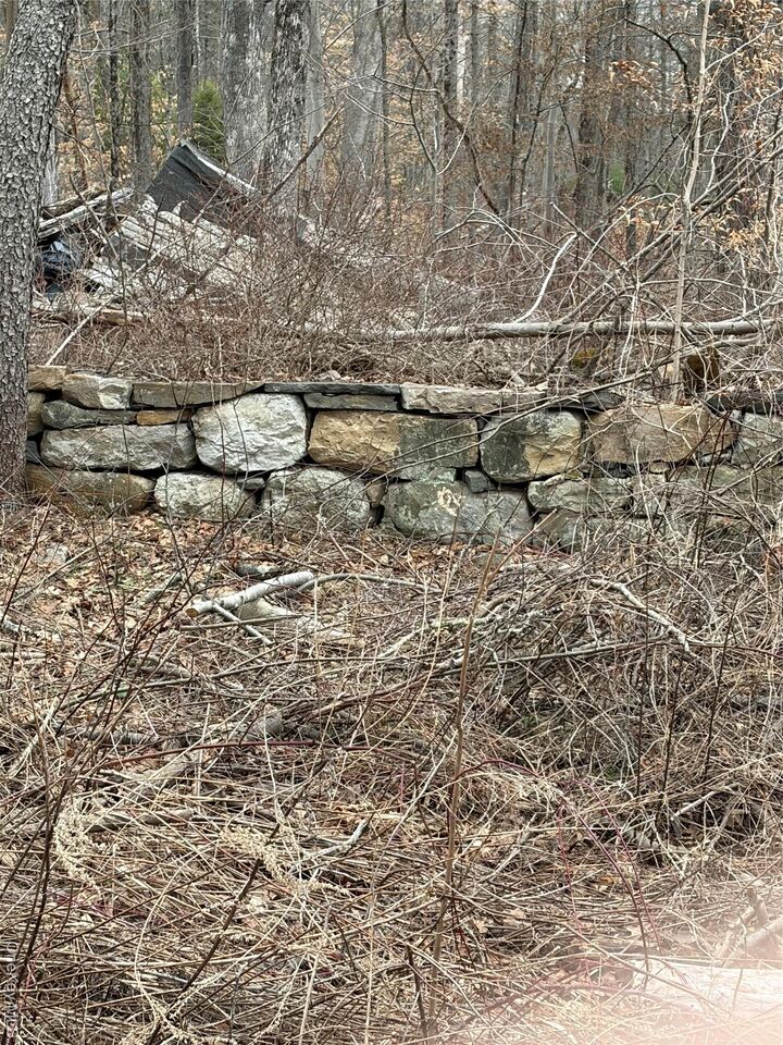 Property Photo:  1501 US Route 209  NY 12729 