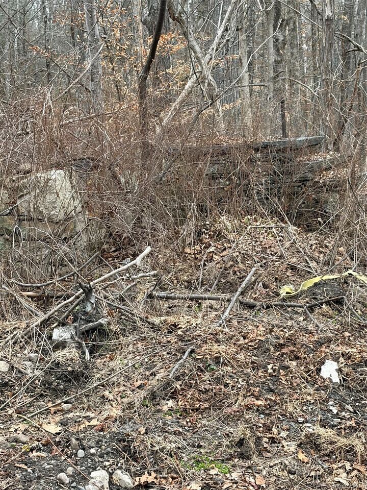 Property Photo: 1501 US Route 209 NY 12729