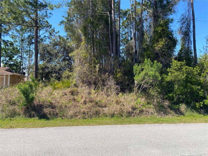 Property Photo: 51 Bronson Lane FL 32137