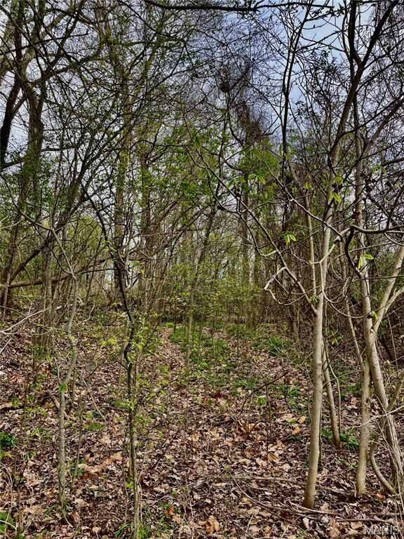 Property Photo:  0 County Road 351  MO 63780 