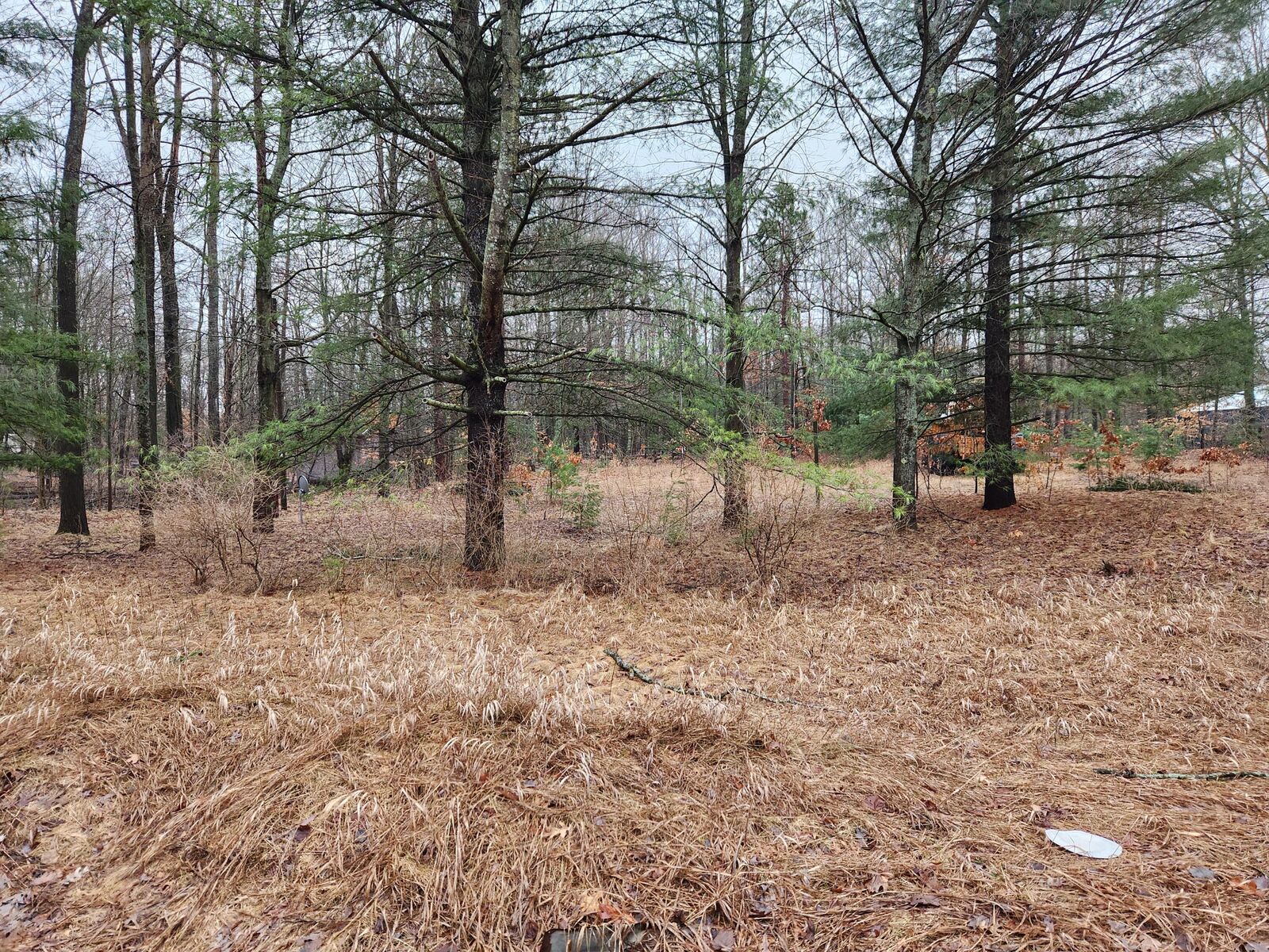 Property Photo:  8071 Rolling Drive  MI 48632 