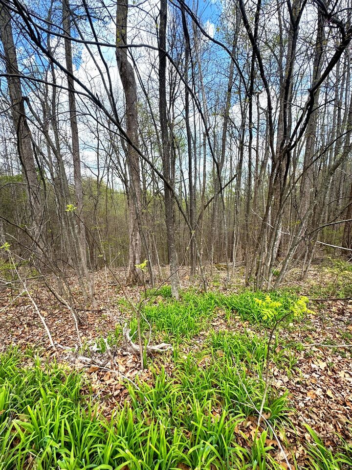 Property Photo: 0 Coconut Ridge Rd TN 37166