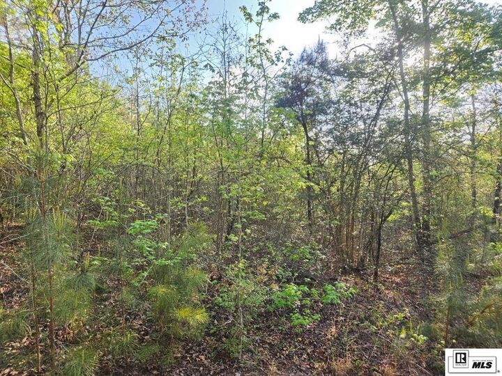 Property Photo: 0 Lapine Road LA 71292