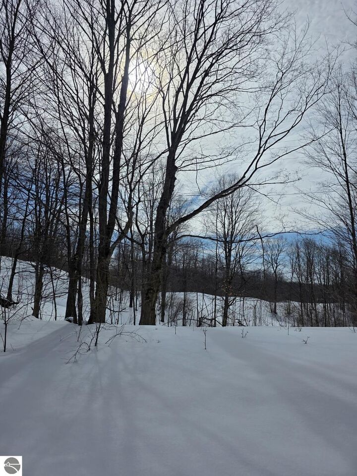 Property Photo: Vl Ranch Drive MI 49615