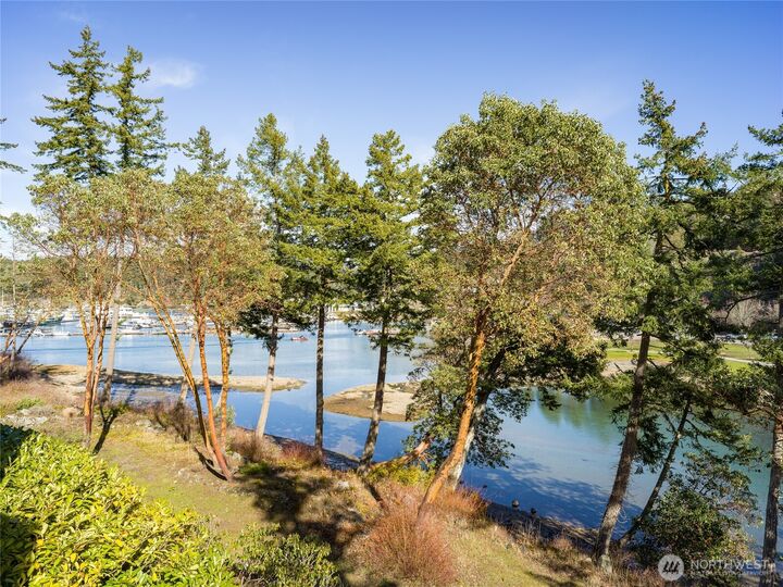 Property Photo:  98  Armadale Road 215  WA 98250 