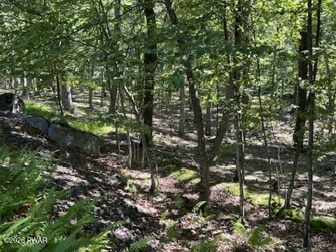 Property Photo:  Lot 290 Mountain Top Drive  PA 18328 