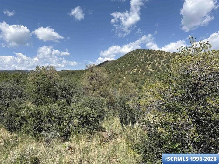 Property Photo:  Xy Black Dog Road  NM 88061 