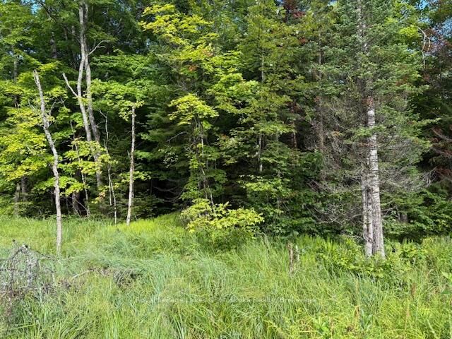 Property Photo:  1788 Old Muskoka Road  ON P0B 1M0 