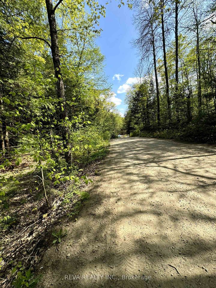Property Photo:  0 Salmon Trout Lake Road  ON K0L 1C0 