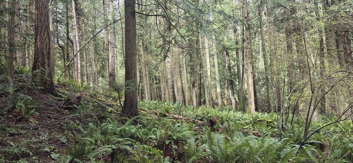 Property Photo: 392 Campbell Bay Road BC V0N 2J1