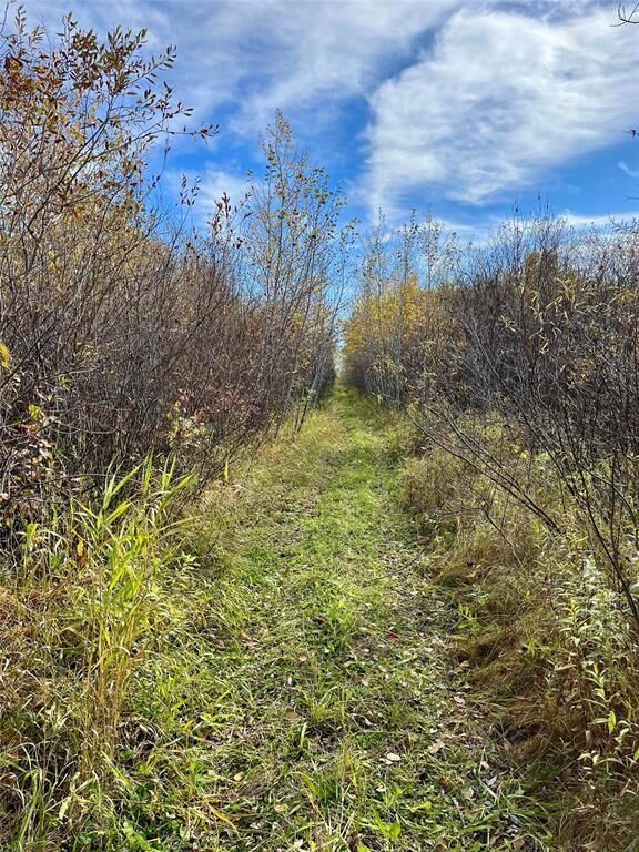 Property Photo:  4960 Rebeck Road  MB R1C 0C9 