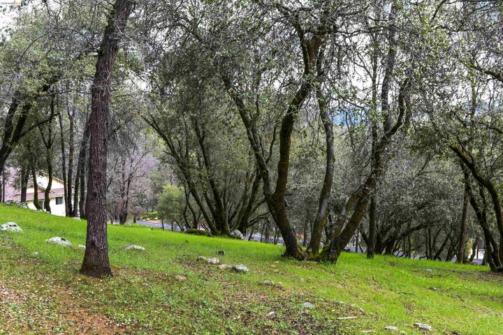 Property Photo:  19077 Apple Valley Dr.  CA 95370 