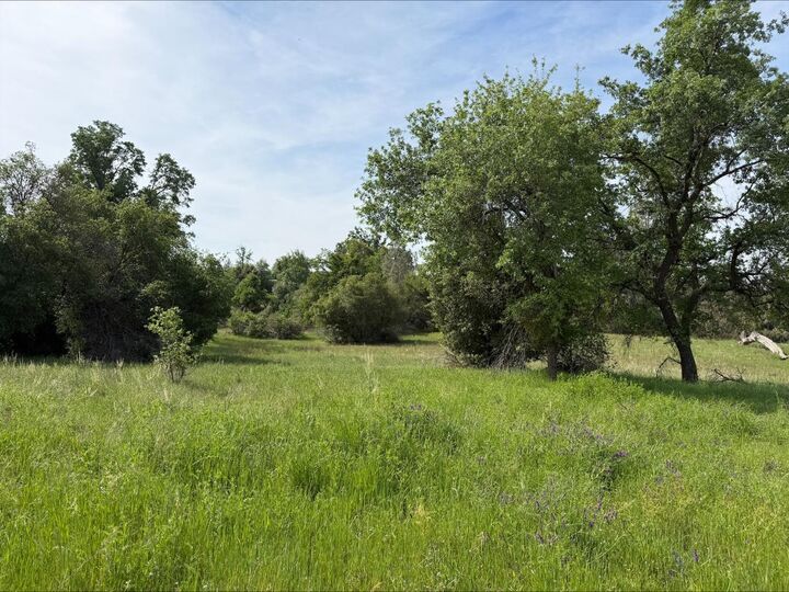 Property Photo:  5 Mountain Springs Road  CA 93634 