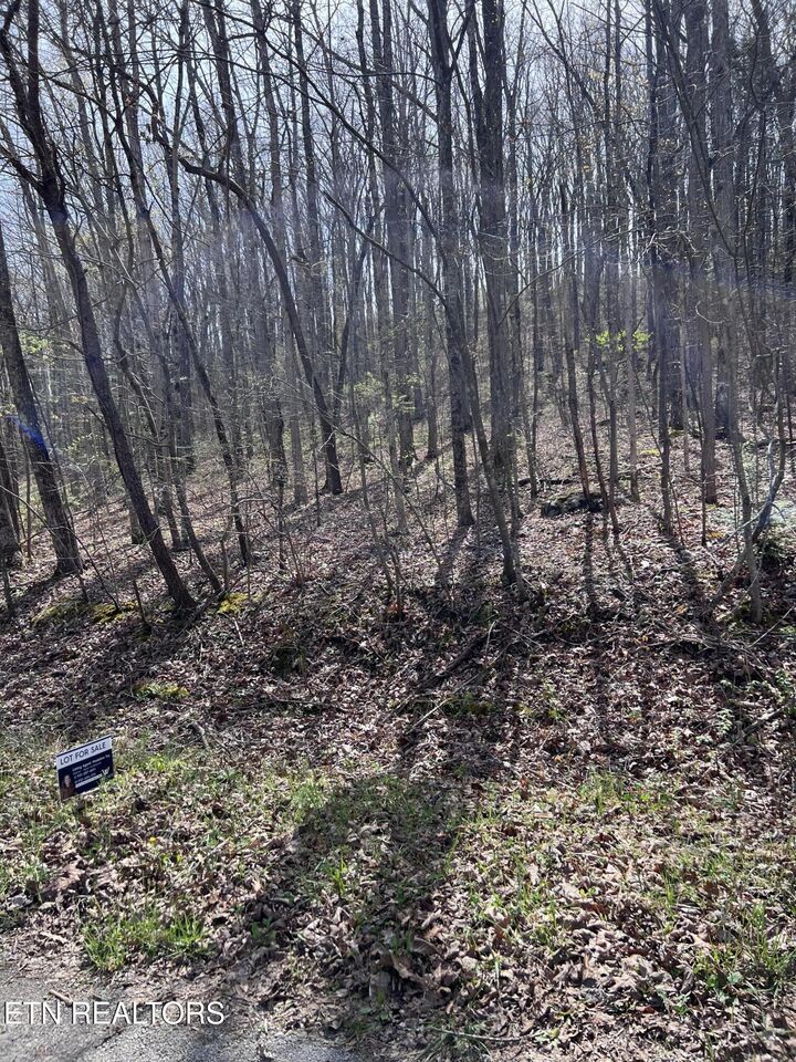 Property Photo:  0.17 Ac Hickory Hollow Rd  TN 38572 