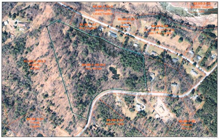 Property Photo:  Tbd Frank Hitchcock Road  NY 12413 