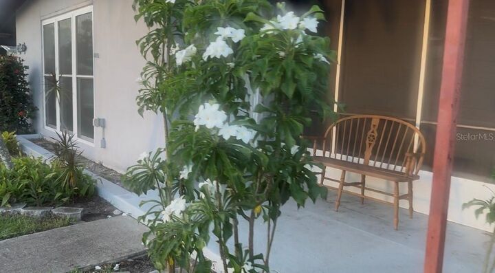 Property Photo:  2488 Warne Street  FL 33952 