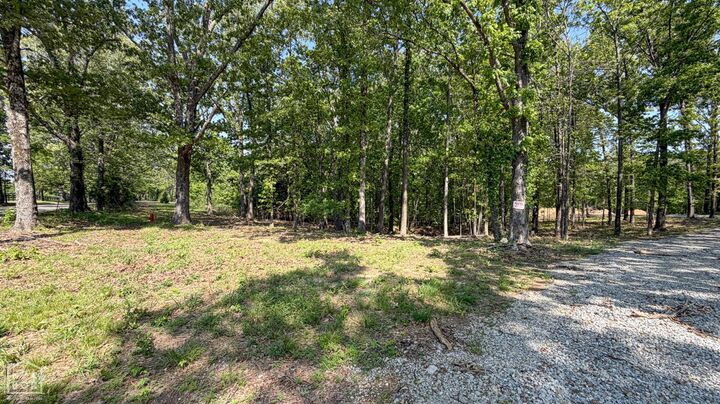 Property Photo:  1015 County Road 108  AR 72404 