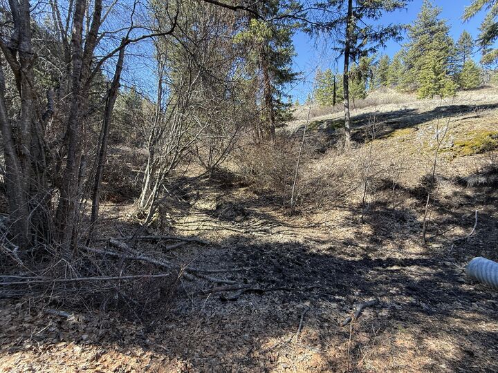 Property Photo:  Tbd Coogan Creek Dr  WA 98859 