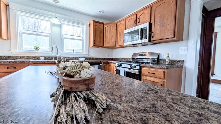 Property Photo:  630 Dorman Road  OH 44030 