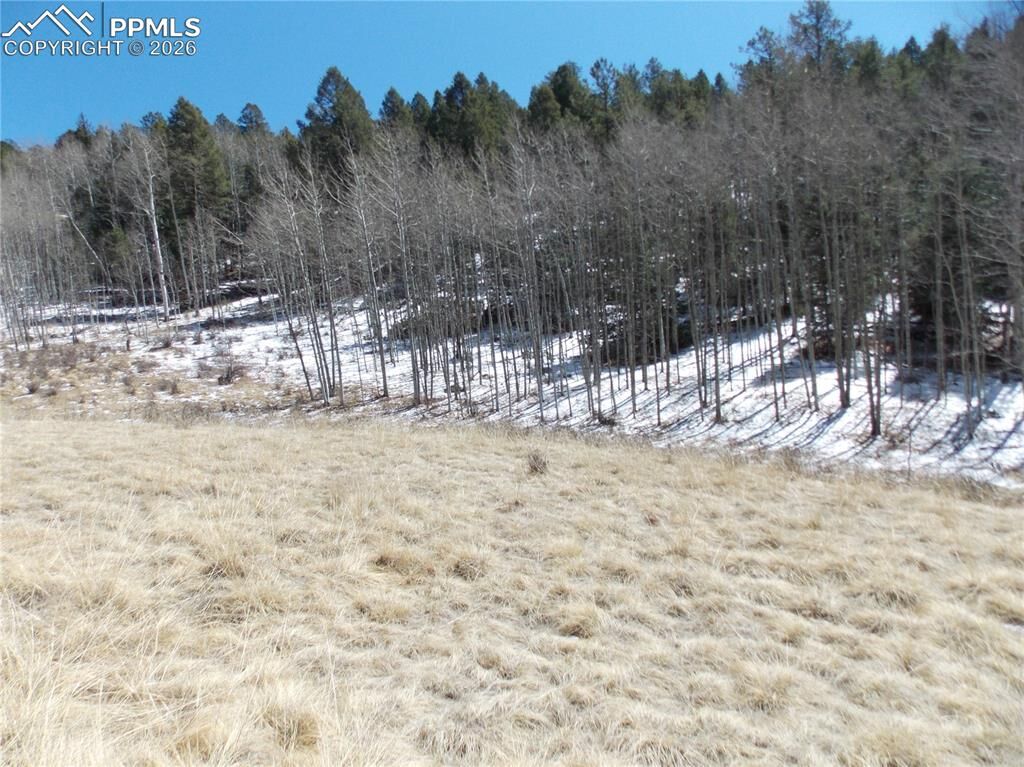 Property Photo:  388 Grey Eagle Drive  CO 80813 