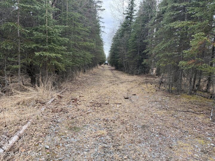Property Photo: 41403 Ray Lee Drive AK 99669