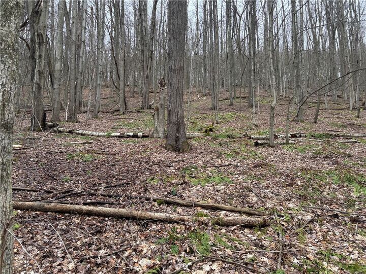 Property Photo: 9446 County Route 9 NY 14809