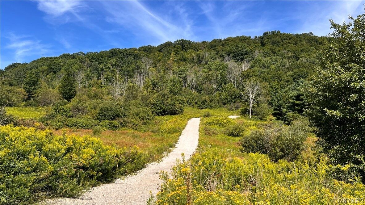 Property Photo:  6048 Nys Rte 242 E  NY 14731 