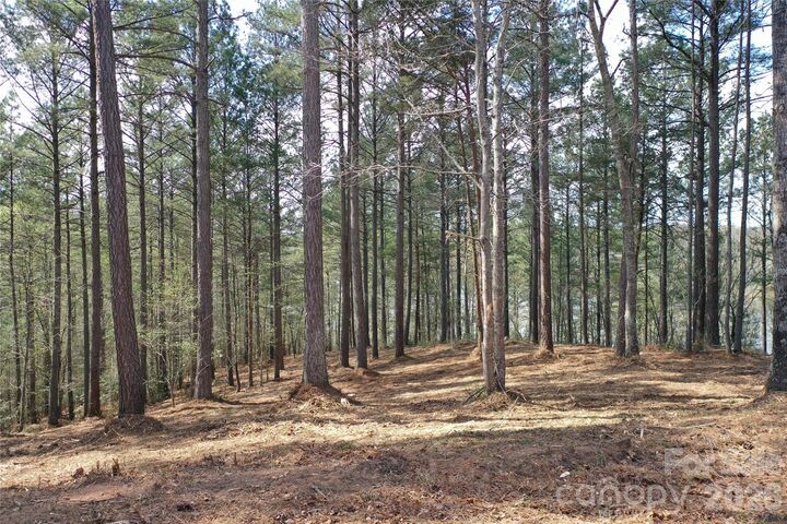 Property Photo:  2299 Lighthouse Lane 76  NC 28612 