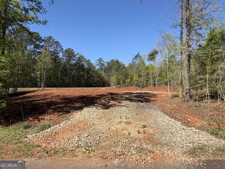 Property Photo:  0 Andrews Chapel Road  GA 30286 