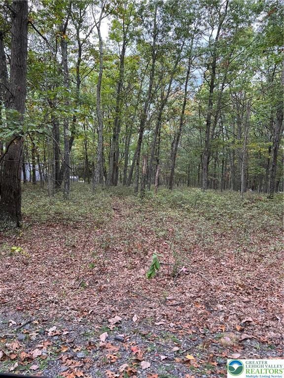 Property Photo: 275 Forest Drive PA 18325