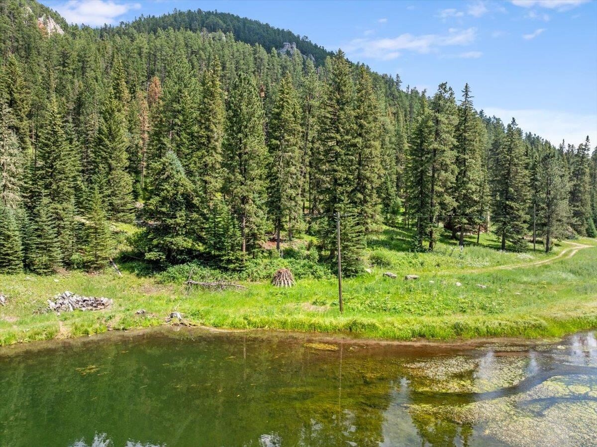 Property Photo: Lot 99 Mossy Pine Loop SD 57754