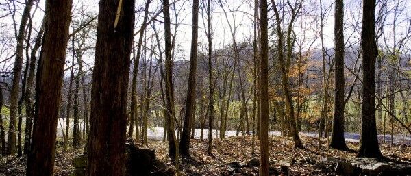 Property Photo:  0 Whites Creek Pike  TN 37189 