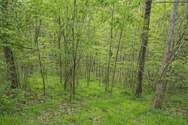 Property Photo:  114 Shoreside Dr  TN 37166 