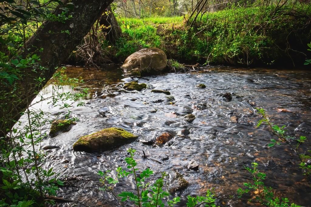 Property Photo:  742 Beaver Run Road  GA 30512 