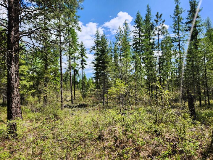 Property Photo:  3669 E Jumpoff Rd  WA 99181 