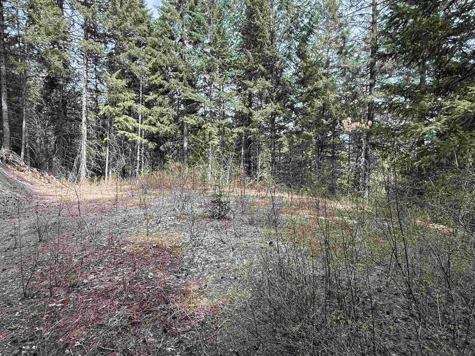 Property Photo: Nna Buck Creek Rd WA 99148