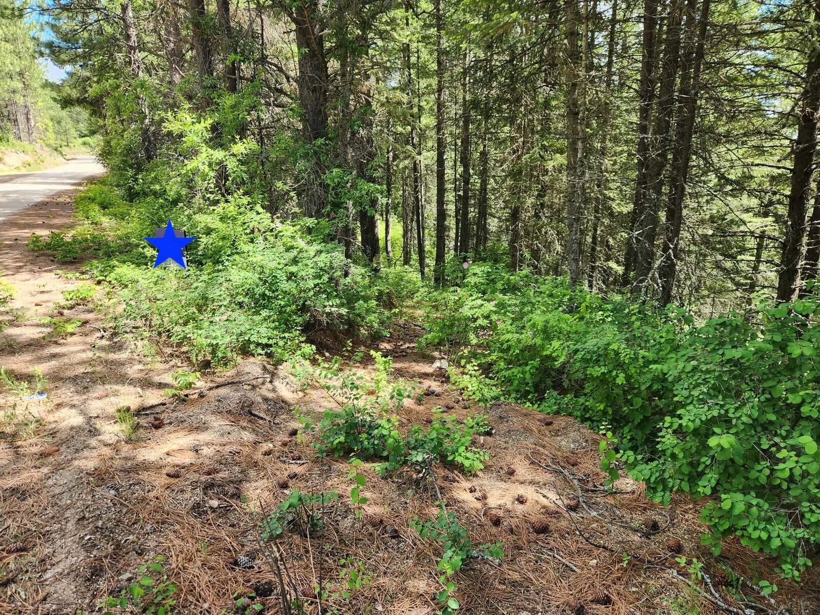 Property Photo: Nna Buck Creek Rd WA 99148