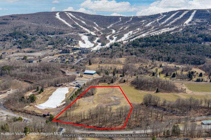 Property Photo:  0 South Street  NY 12496 