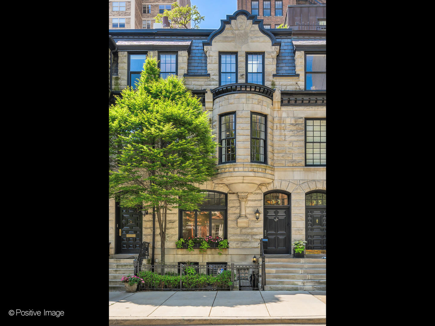 Property Photo:  37 E Elm Street  IL 60611 