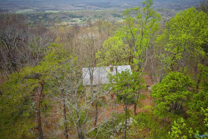 Property Photo: 18739A County Road 89 AL 35984