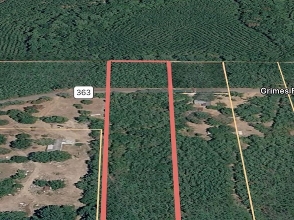 Property Photo:  L98486 Grimes Flournoy Road  TX 75949 