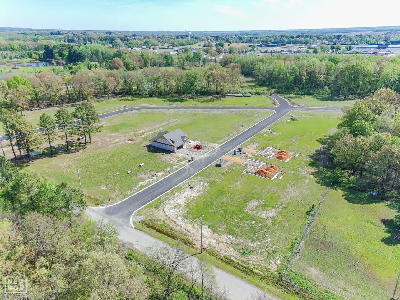 Property Photo:  100 Horseshoe Creek Drive  AR 72417 