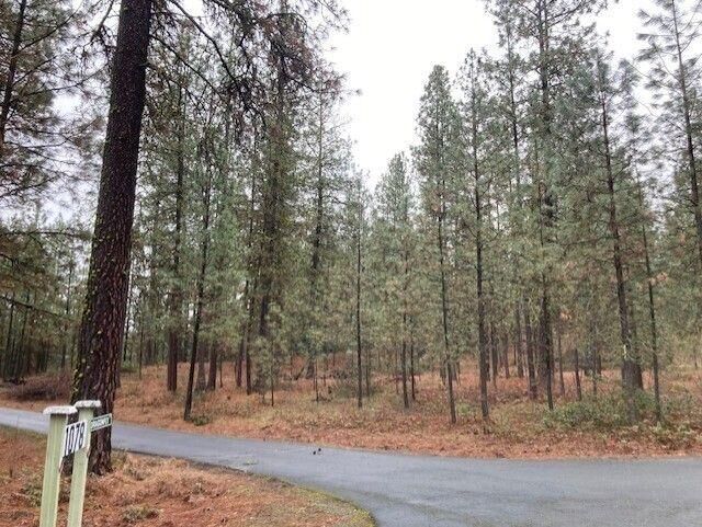 Property Photo:  10xx Harberd Way  WA 99141 