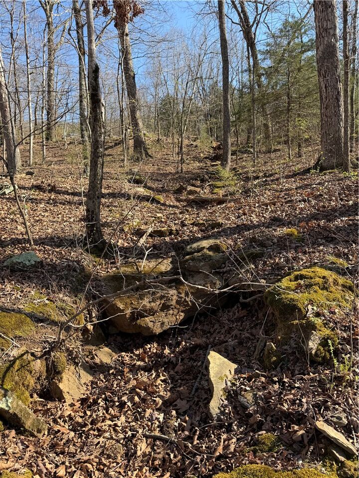 Property Photo:  Madison Co 5430 Road  AR 72727 