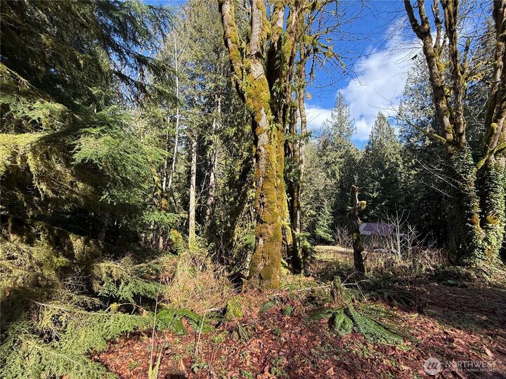 Property Photo:  0  High Ridge Drive  WA 98267 