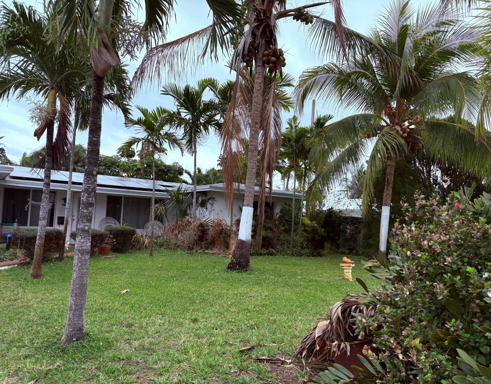 Property Photo:  4030 NE 16th Terrace  FL 33334 