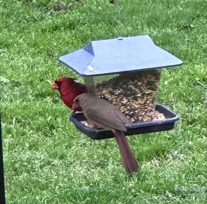 Property Photo:  3960 Bristol Drive  NC 28208 