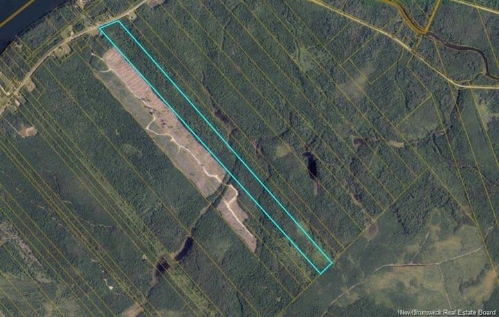 Property Photo: Woodlot Route 118 NB E9E 2H2